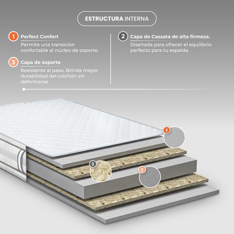 pedic_esencial_render.jpg