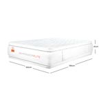 emperador_elite_hycare_medida100
