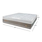 emp-eliteadvance_medidas_100
