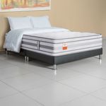 pedic_esencial_ambientada.jpg
